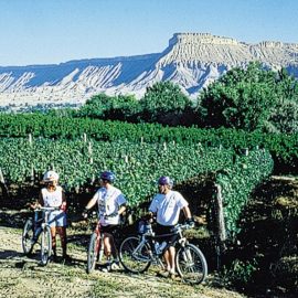 Wine tasting at Western Colorado vineyards Palisade CO