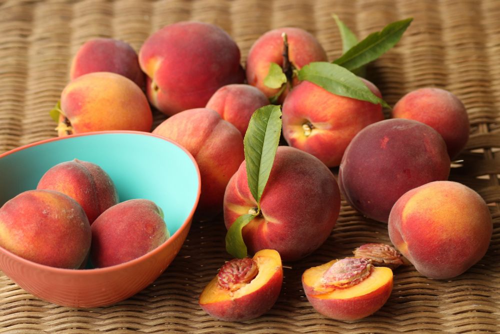 It's Peach Mania! Palisade Peach Festival